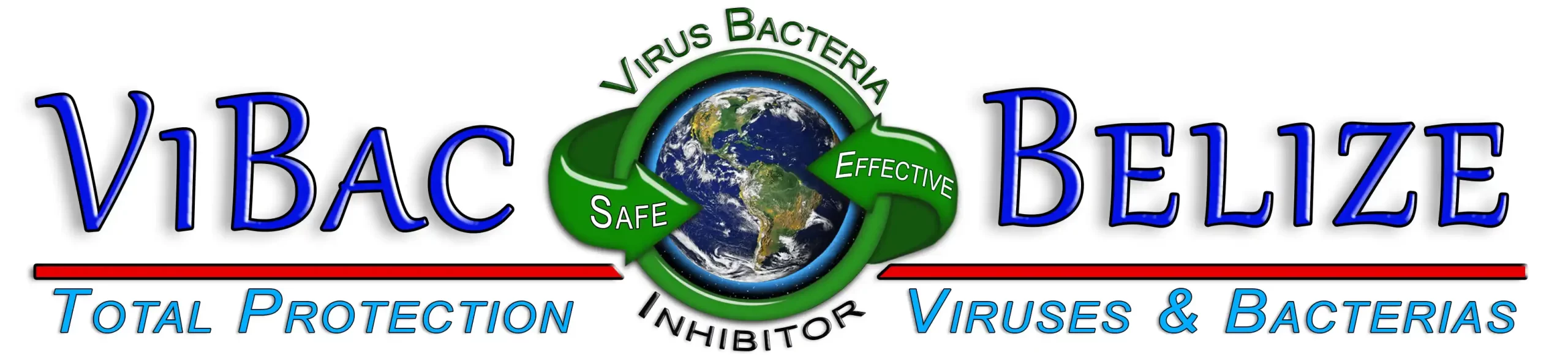 ViBac Logo Header